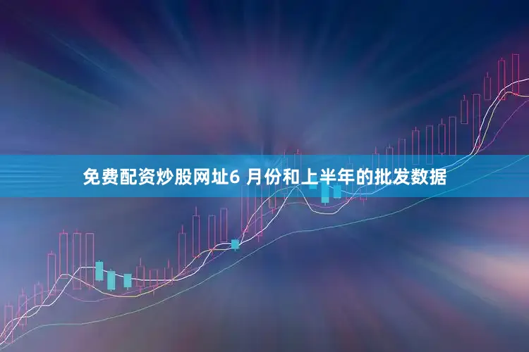 免费配资炒股网址6 月份和上半年的批发数据
