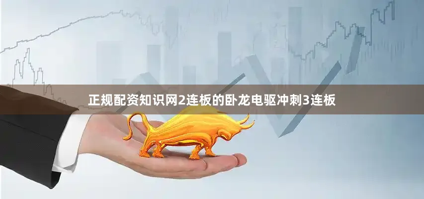 正规配资知识网2连板的卧龙电驱冲刺3连板